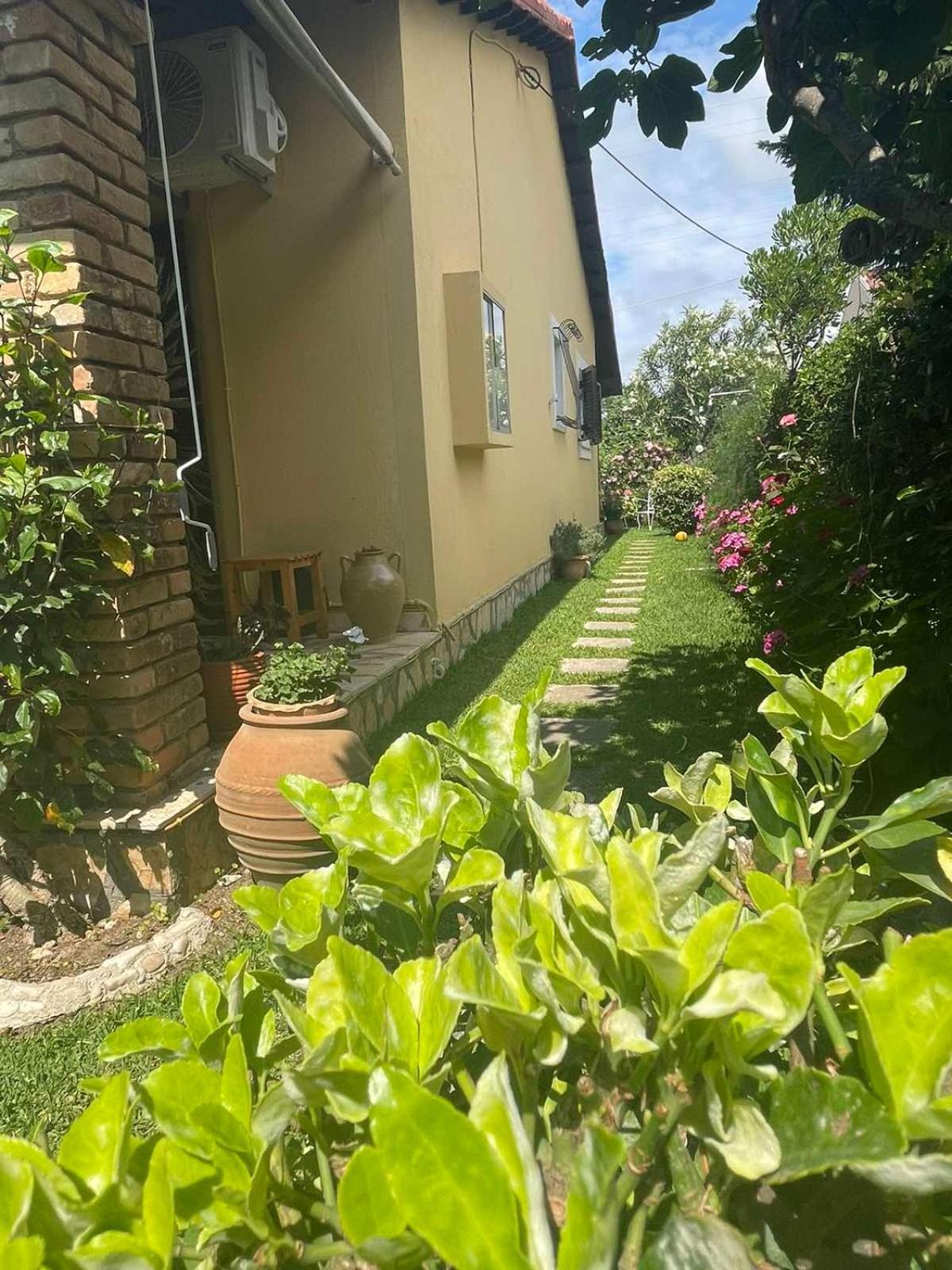 Villa Tina Country Beach Apartments Acharavi  Zimmer foto