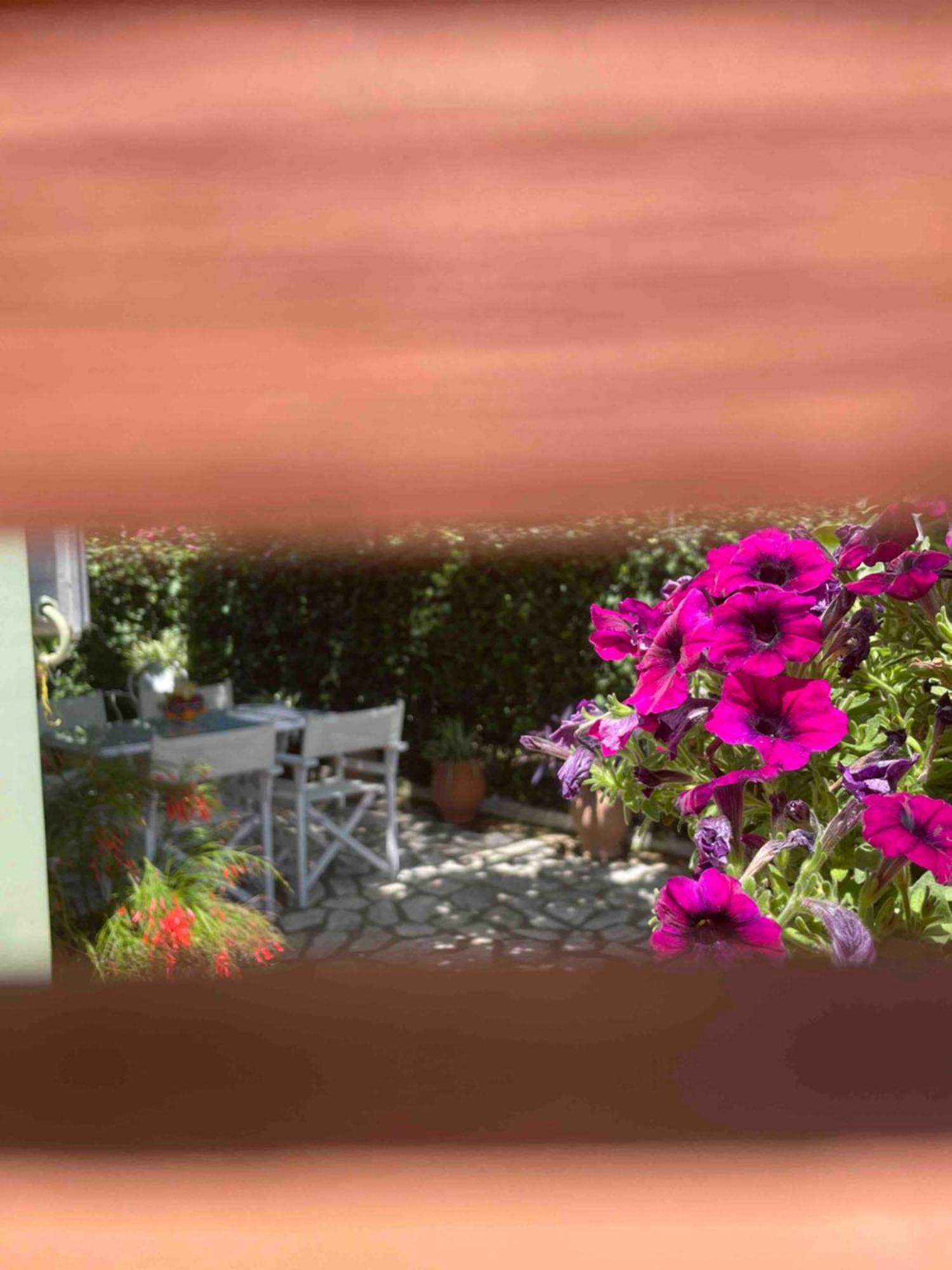 Villa Tina Country Beach Apartments Acharavi  Zimmer foto