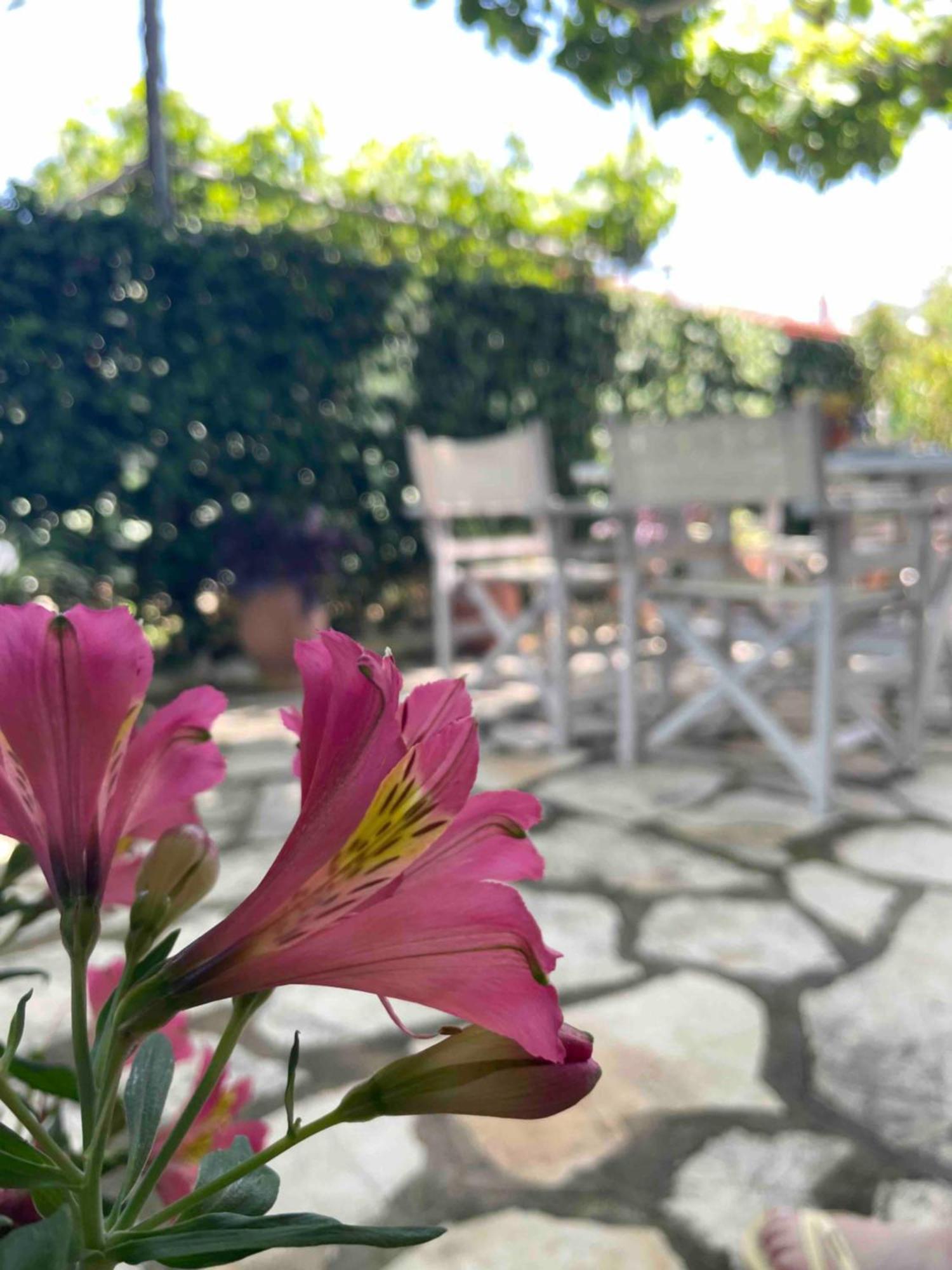 Villa Tina Country Beach Apartments Acharavi  Zimmer foto